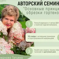 Основные принципы обрезки гортензий