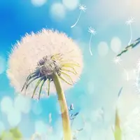 Как отрабатывать диалоги на английском