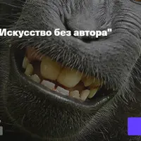 Искусство без автора