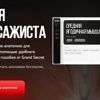 Анатомия для массажиста