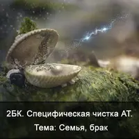 Специфическая чистка астрального тела. Тема: семья, брак