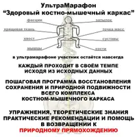 Здоровый костно-мышечный каркас