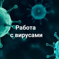 Работа с вирусами