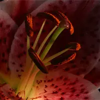 Секреты Самореализации