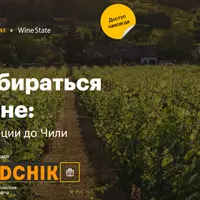 Как разбираться в вине: от Франции до Чили