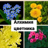 Алхимия цветника
