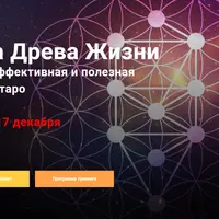 Сила Древа Жизни