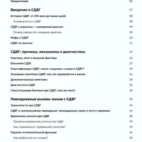 СДВГ. Как понять, принять и управлять особенностями вашего мозга и жизни