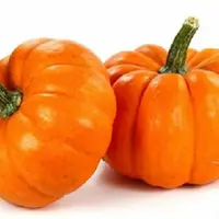 Тыква: Сборник рецептов и полезной информации