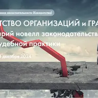 Банкротство организаций и граждан: комментарий новелл законодательства и анализ судебной практики