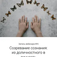 Интегральное сознавание. Вебинар 4. Созревание сознания: из доличностного в личность