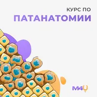Патологическая анатомия ХАРД