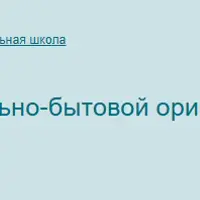 Проведение уроков социально-бытовой ориентировки для детей с РАС