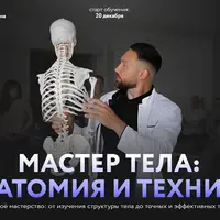 Мастер тела: анатомия и техники