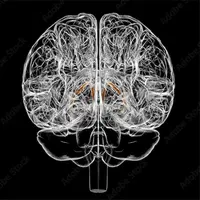 Биология стресса. Лекция 4. Неконтролируемый стресс