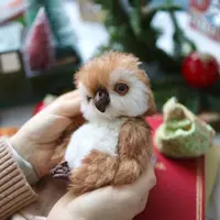 Рождество в колпаке