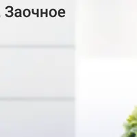 Основы современной психосоматики. 2 триместр