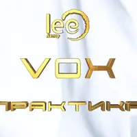Vox Практика
