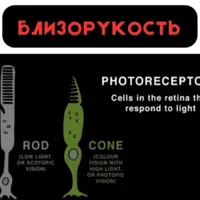 Близорукость с точки зрения холистического врача