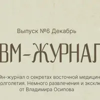 Свм-журнал. Выпуск № 6. Декабрь 2024