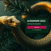Алхимия 2025 года. Новогодняя программа