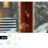 Магия и жизнь