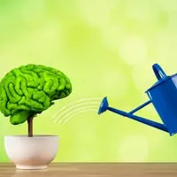 Память, которая помогает достигать, преподавать и успевать жить. Алфавит памяти