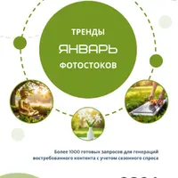 Тренды фотостоков (январь 2025)