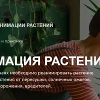 Реанимация растений