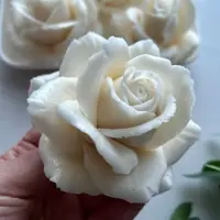 Зефир в молдах