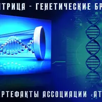 Презентация Суперматрица – Генетические браслеты