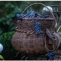 Клуб Идеальное кашпо