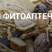 Домашняя фитоаптечка