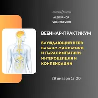 Блуждающий нерв: баланс симпатики и парасимпатики, интероцепция и компенсации
