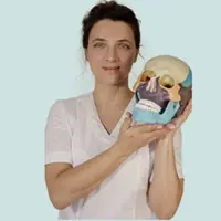 Черепэстет