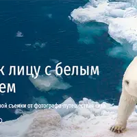 Лицом к лицу с белым медведем. Секреты экстремальной съемки от фотографа-путешественника