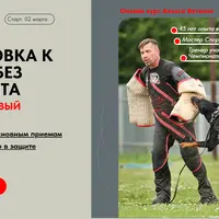 Подготовка к защите без фигуранта