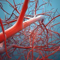 Здоровье сосудов: проблемы, решения, профилактика