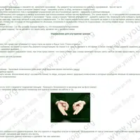 Дорога к Мудрецу за ответом + Освобождение от эмоциональной подавленности + Улучшение зрения