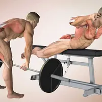 Приседания и хинч: реабилитация и тренировка таза и нижних конечностей