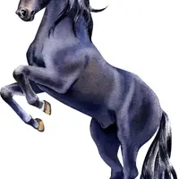 Животные акварелью