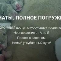 Неонаты. Полное погружение