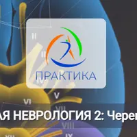 Прикладная неврология 2: Черепные нервы