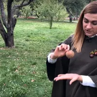 Уход за садом осенью