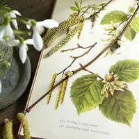 Травничество и фитотерапия