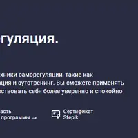 Психическая саморегуляция. Практикум