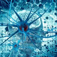 Введение в когнитивную нейронауку. Лекция 6. Мозг во сне