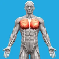 Дыхание. Терапия внутренним давлением. Мьюинг. Рефлекторные техники