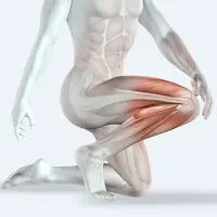 Колени: здоровье и биомеханика