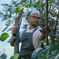 Защита и здравоохранение растений от вредителей и болезней при помощи обрезки